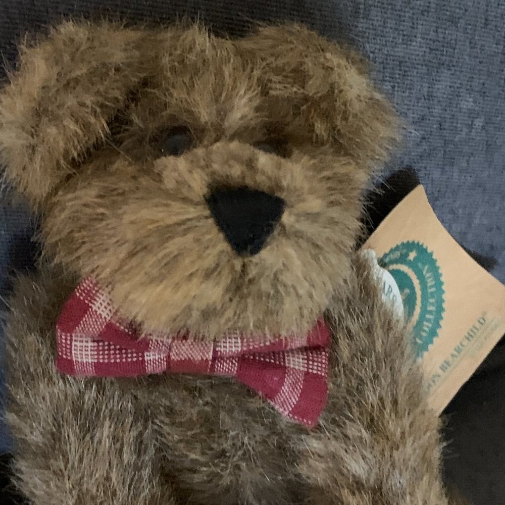 Boyds "Sheldon Bearchild" with tags - Picture 2 of 5